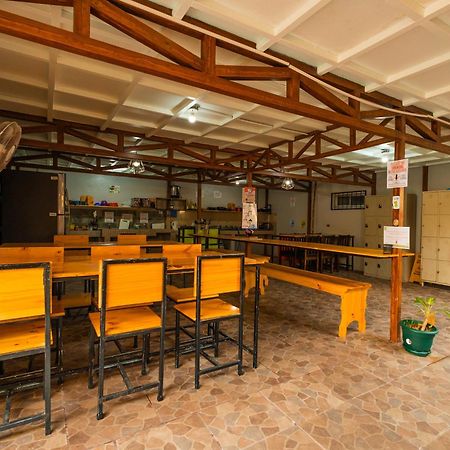 Arenal Sloth Hostel La Fortuna Zewnętrze zdjęcie
