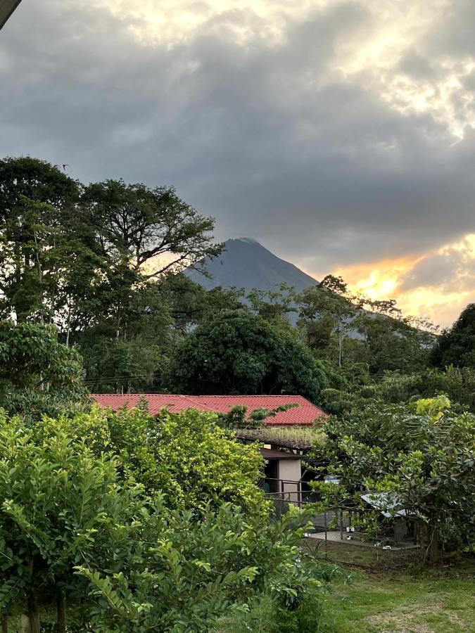 Arenal Sloth Hostel La Fortuna Zewnętrze zdjęcie