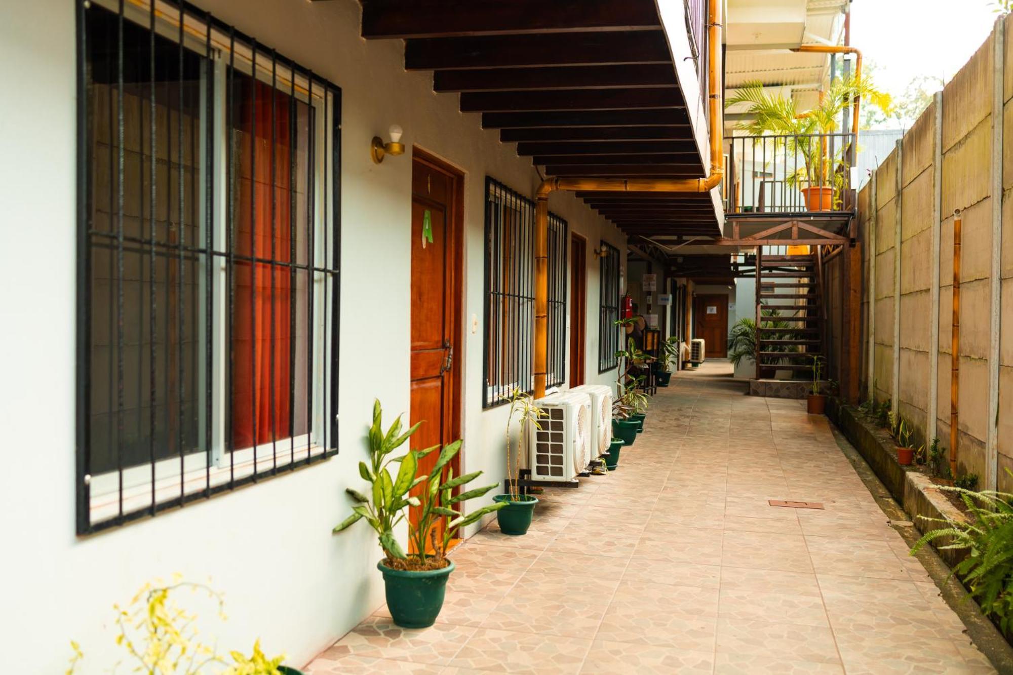 Arenal Sloth Hostel La Fortuna Zewnętrze zdjęcie